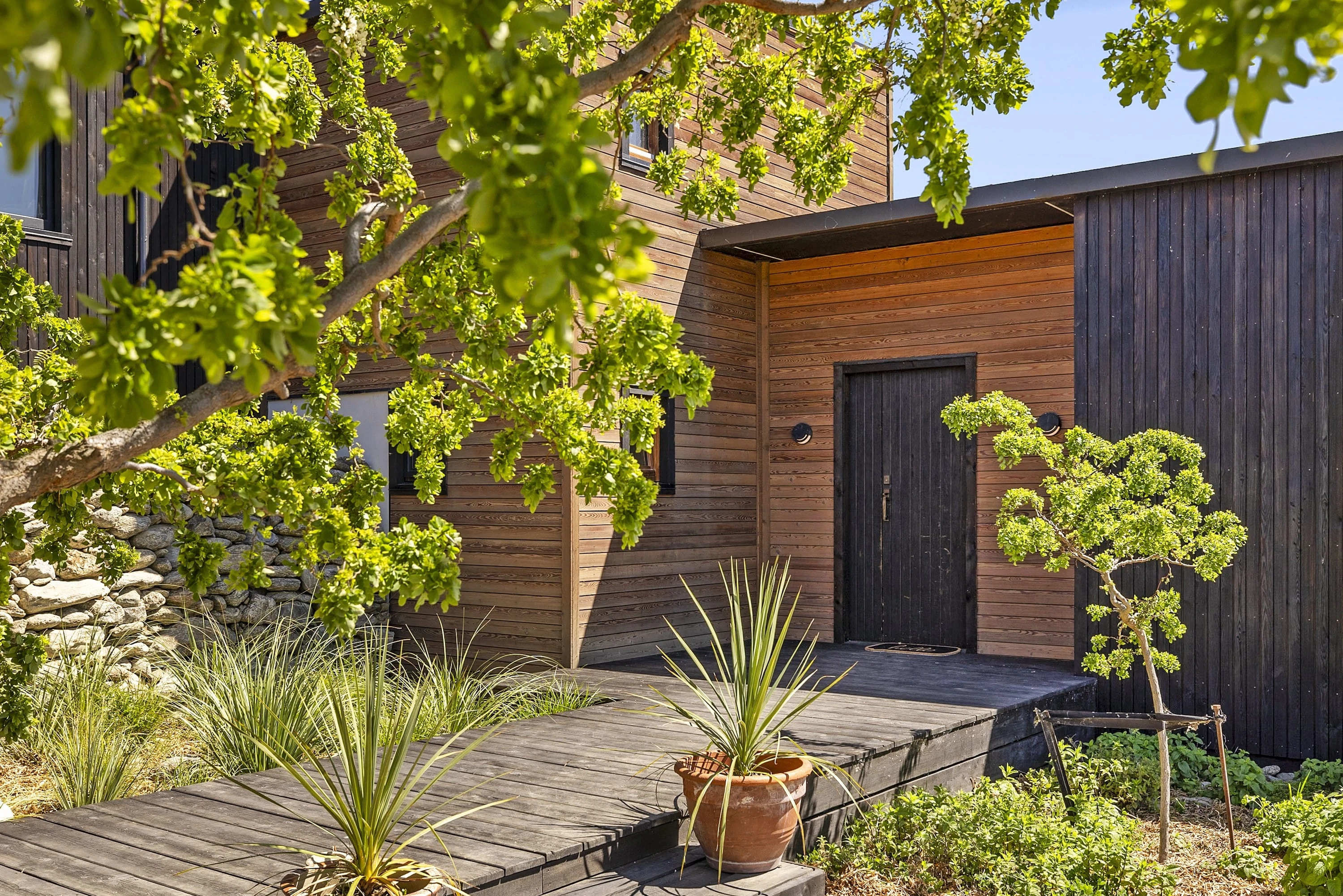 burnt larch cladding